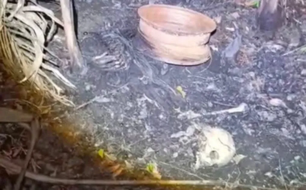 Burnt remains found near Todd's Road in Longdenville